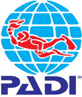 Провессиональная ассоциация подводных инструкторов PADI