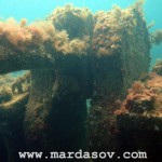 Scuba-diving